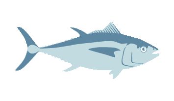 Learn About the Atlantic Bigeye – Fishing