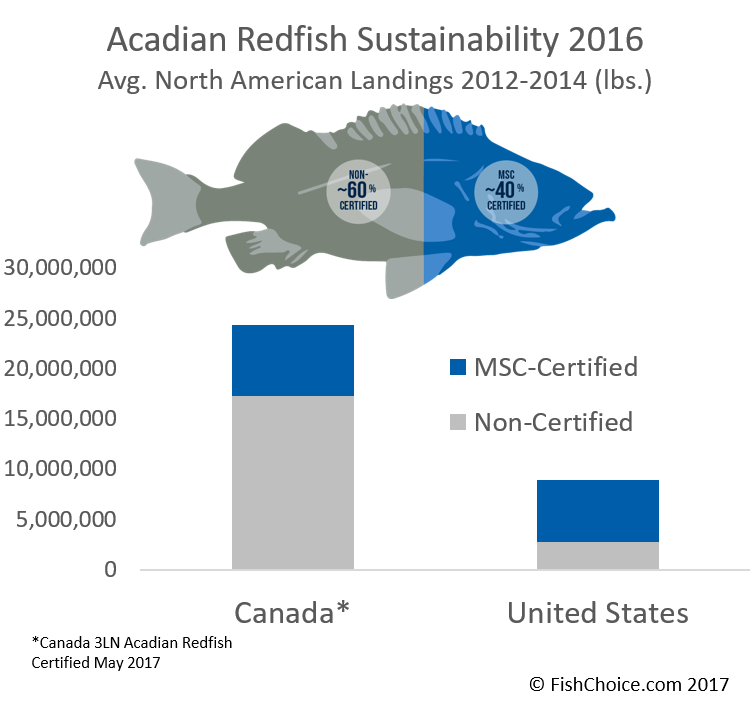 Acadian Redfish | FishChoice