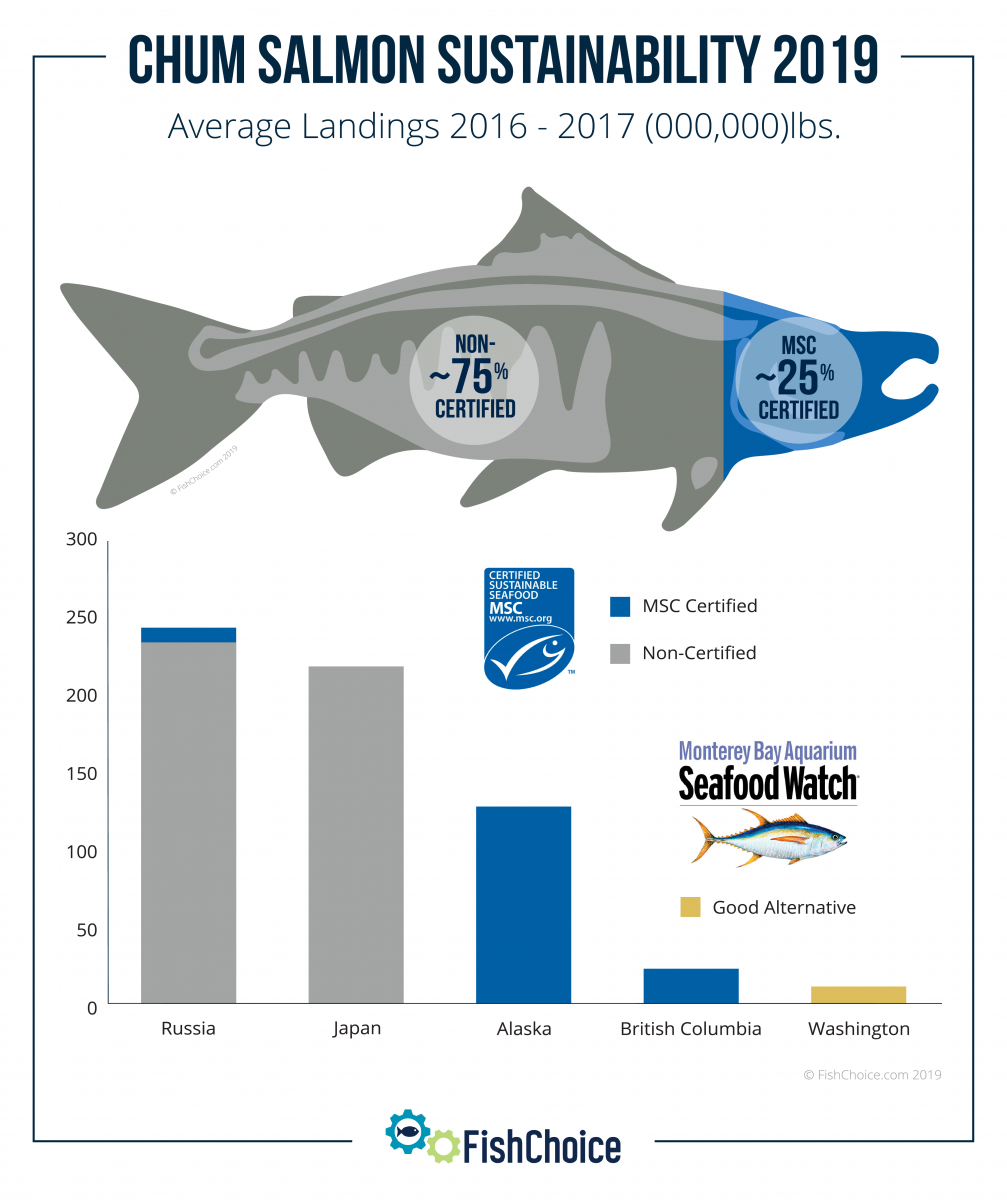 Chum Salmon | FishChoice