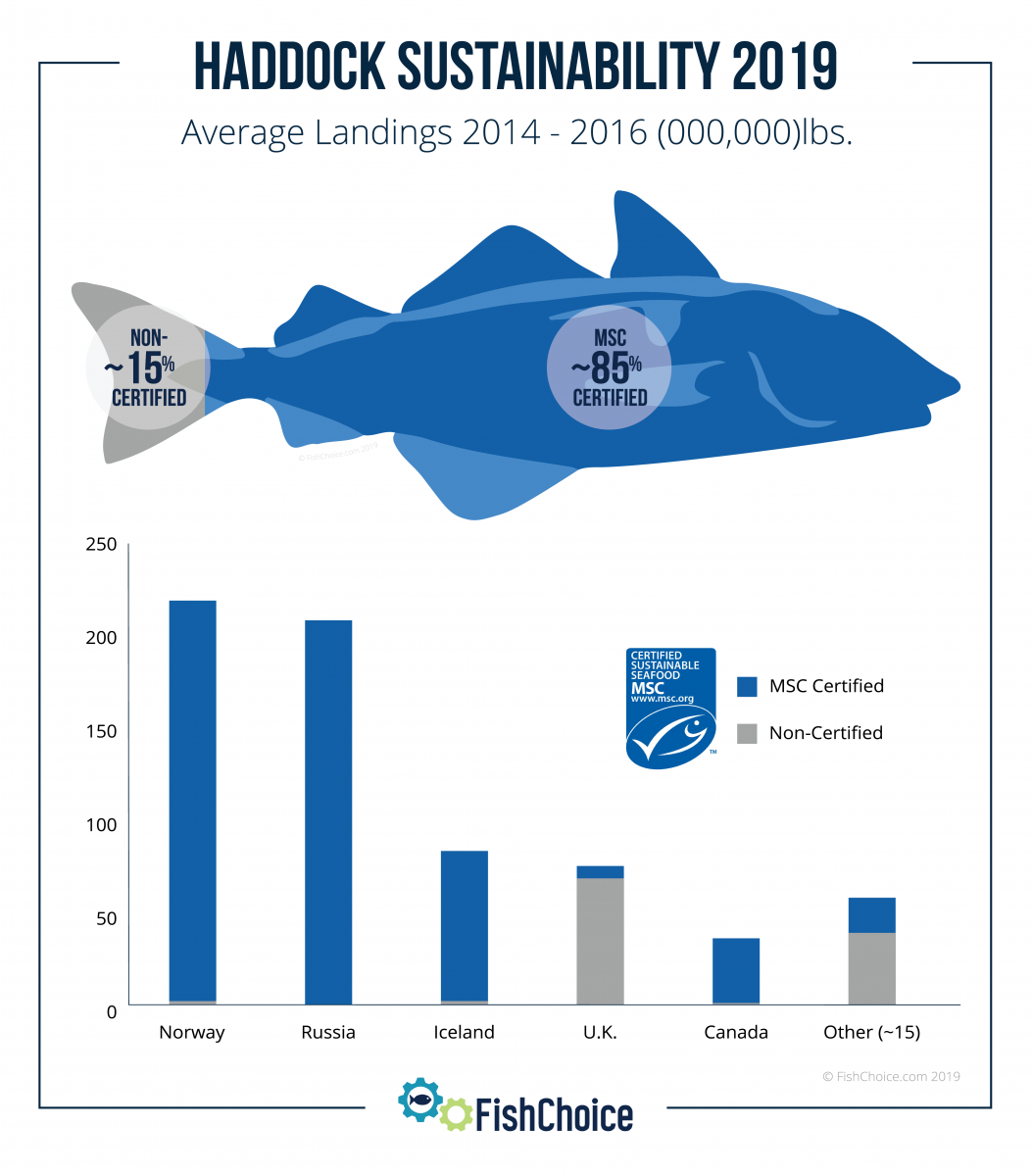 Haddock | FishChoice