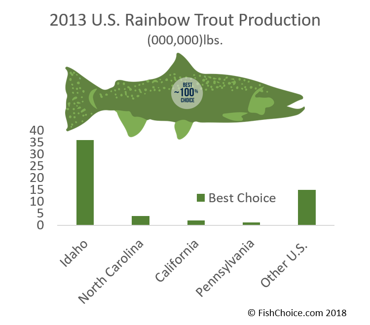 rainbow trout size