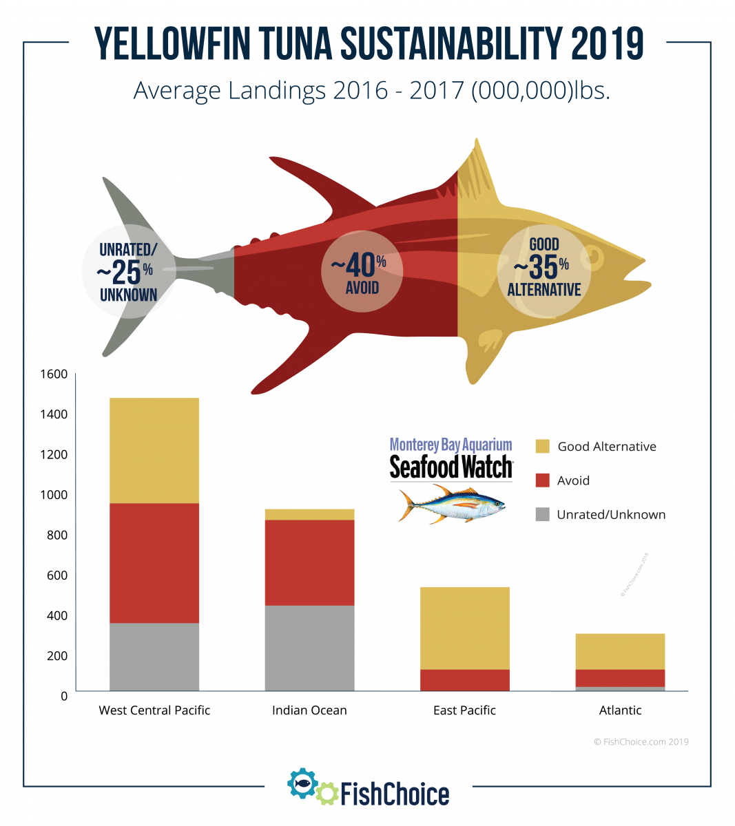 Yellowfin Tuna Size Chart